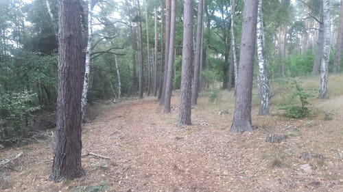 Um den Paschensee