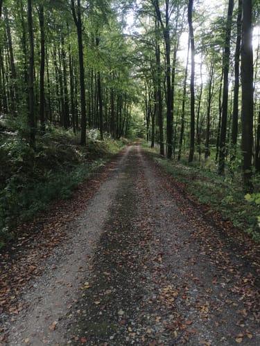 Wattenbach - Eiterhagen Runde