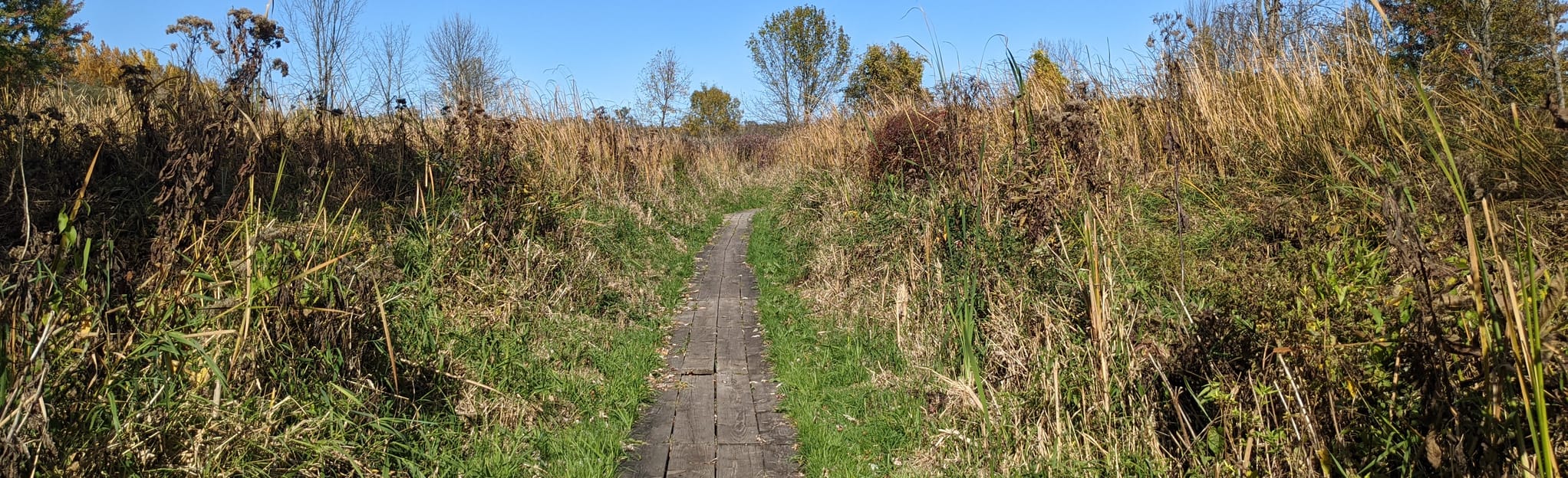 Crescent Trail White Brook Loop 117 Reviews, Map New York AllTrails