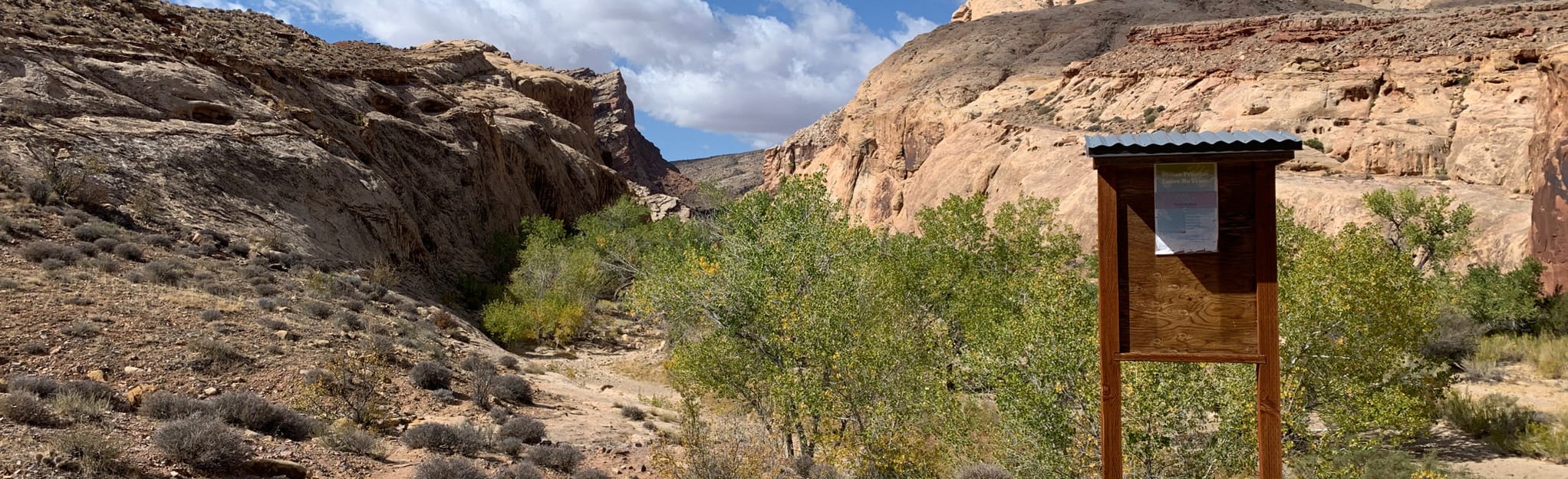 Lower Straight Wash Canyon, Utah 20 Reviews, Map AllTrails