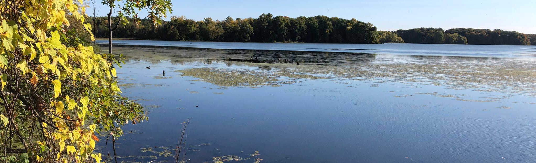 Potato Creek Trail 1, Indiana 235 Reviews, Map AllTrails