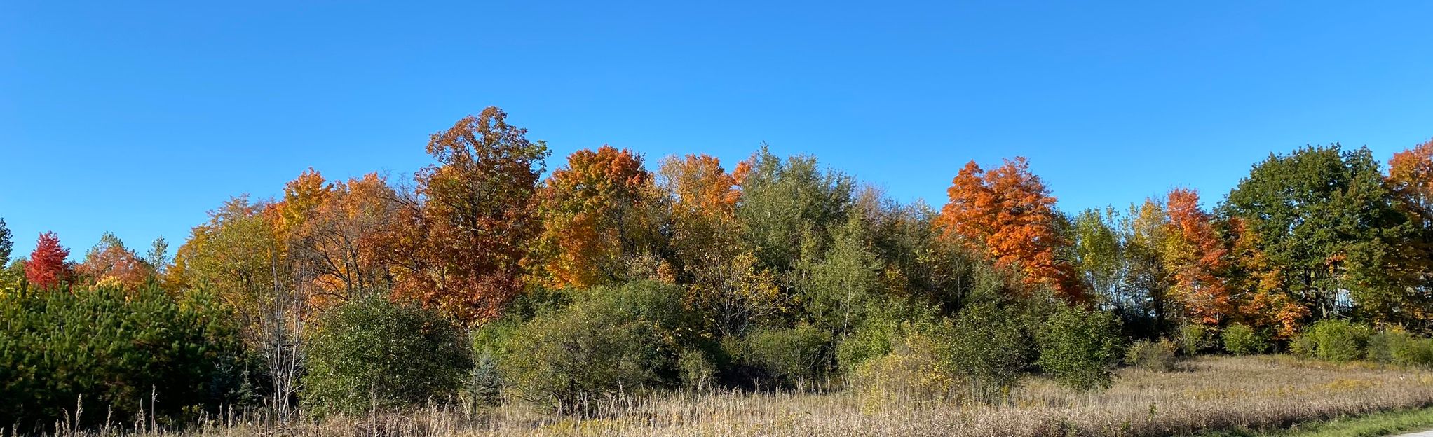 Oak Ridges Moraine Walk 562 Foto Ontario Canada AllTrails   EyJidWNrZXQiOiJhc3NldHMuYWxsdHJhaWxzLmNvbSIsImtleSI6InVwbG9hZHMvcGhvdG8vaW1hZ2UvMzA0ODE4NzkvYTlhMGE4MjFhNjI4NmFiZThkMDVmNTI3MWE0MmYzNzMuanBnIiwiZWRpdHMiOnsidG9Gb3JtYXQiOiJqcGVnIiwicmVzaXplIjp7IndpZHRoIjoyMDQ0LCJoZWlnaHQiOjYyNCwiZml0IjoiY292ZXIifSwicm90YXRlIjpudWxsLCJqcGVnIjp7InRyZWxsaXNRdWFudGlzYXRpb24iOnRydWUsIm92ZXJzaG9vdERlcmluZ2luZyI6dHJ1ZSwib3B0aW1pc2VTY2FucyI6dHJ1ZSwicXVhbnRpc2F0aW9uVGFibGUiOjN9fX0=