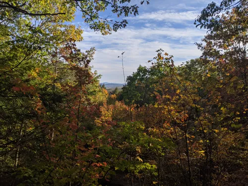 Best forest trails in Fox State Forest | AllTrails