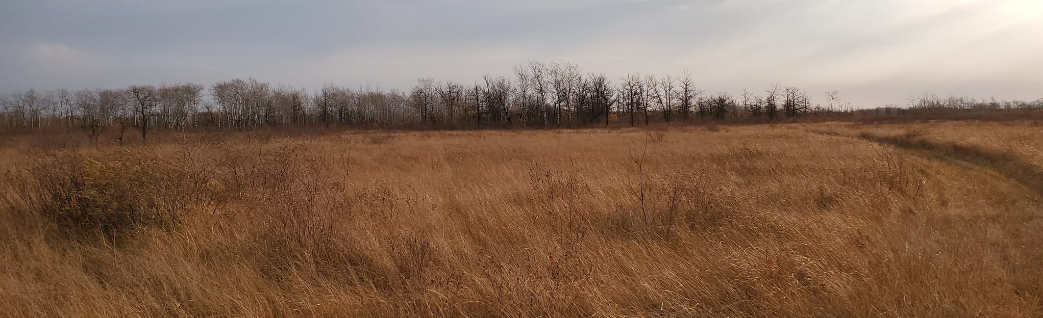 Agassiz Interpretive Trail, Manitoba, Canada 12 Reviews, Map AllTrails