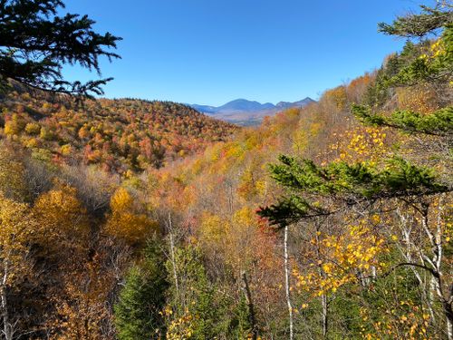 are dogs allowed hiking trails white mountains