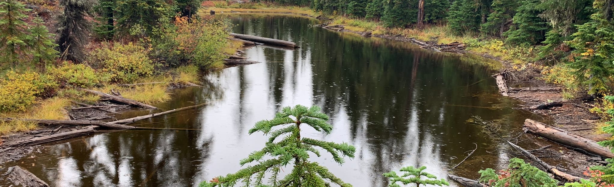 Mount Yoran Trail, Oregon 12 Reviews, Map AllTrails