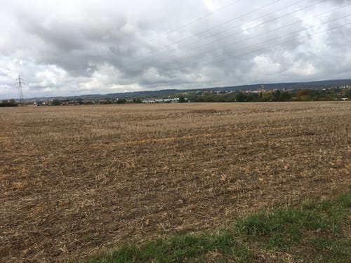 Rund um Meimsheim