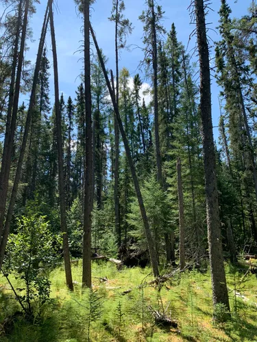 10 Best Hikes and Trails in Quetico Provincial Park | AllTrails