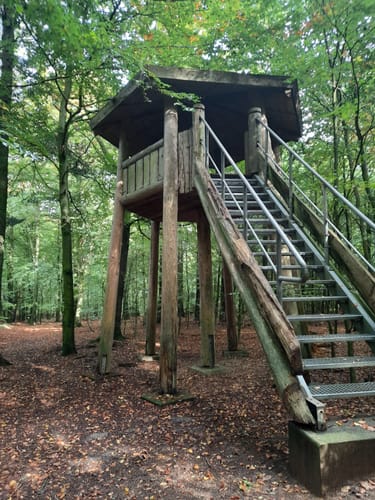 Wildes Moor bei Schwabstedt