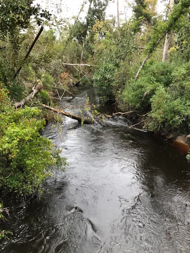 Econfina Creek Water Management - EyJidWNrZXQiOiJhc3NldHMuYWxsdHJhaWxzLmNvbSIsImtleSI6InVwbG9hZHMvcGhvdG8vaW1hZ2UvMzA1MDE5NDQvMDk2YjA5YjhmOWM1ZGY0OTM3N2EzN2NjOGNjMDI3ZWEuanBnIiwiZWRpdHMiOnsidG9Gb3JtYXQiOiJ3ZWJwIiwicmVzaXplIjp7IndpZHRoIjo1MDAsImhlaWdodCI6NTAwLCJmaXQiOiJpbnNpZGUifSwicm90YXRlIjpudWxsLCJqcGVnIjp7InRyZWxsaXNRdWFudGlzYXRpb24iOnRydWUsIm92ZXJzaG9vdERlcmluZ2luZyI6dHJ1ZSwib3B0aW1pc2VTY2FucyI6dHJ1ZSwicXVhbnRpc2F0aW9uVGFibGUiOjN9fX0=