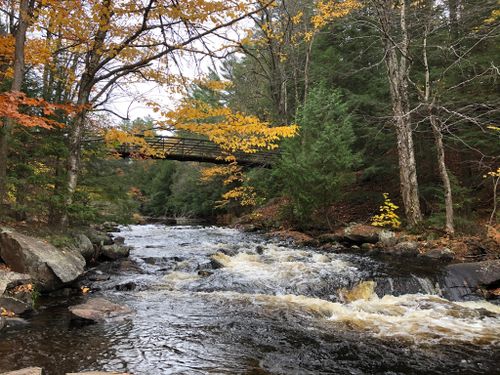 10 Best Hikes and Trails in Algonquin Provincial Park | AllTrails