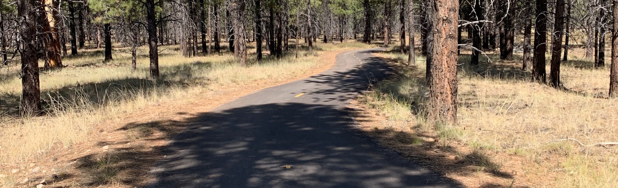 Bryce Canyon Multi Use Path, Utah 157 Reviews, Map AllTrails