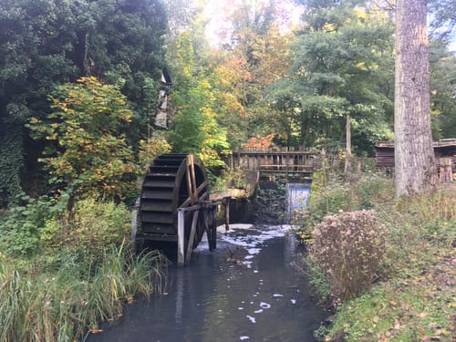 Schlaubetal: Bremsdorfer Mühle - Kieselwitzer Mühle
