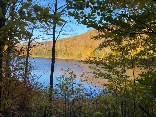 Long trail state clearance forest