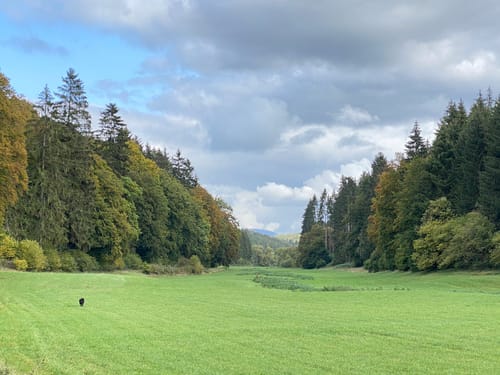 Wo Bäche schwinden (EifelSchleife)