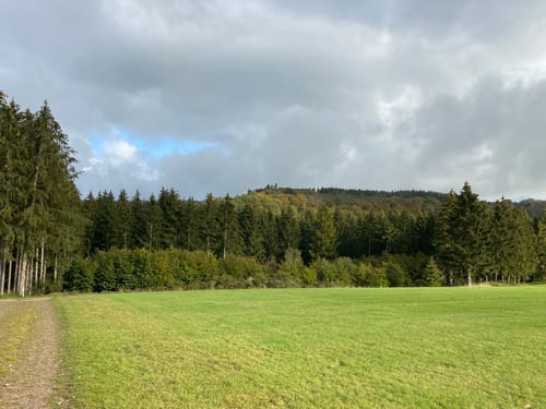 Eifelsteig Etappe 7: Blankenheim - Mirbach
