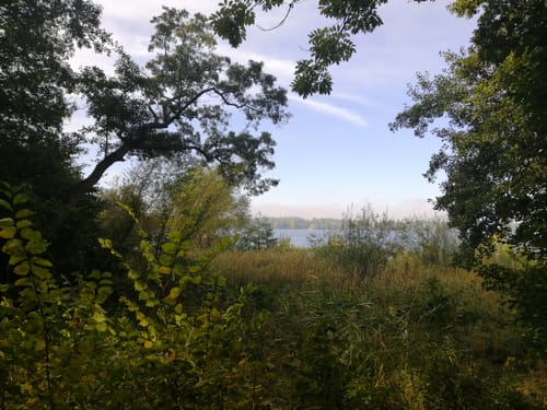 Düppeler Forst Uferpromenade