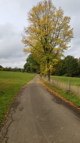 Alsweiler - Oberthal - Tholey