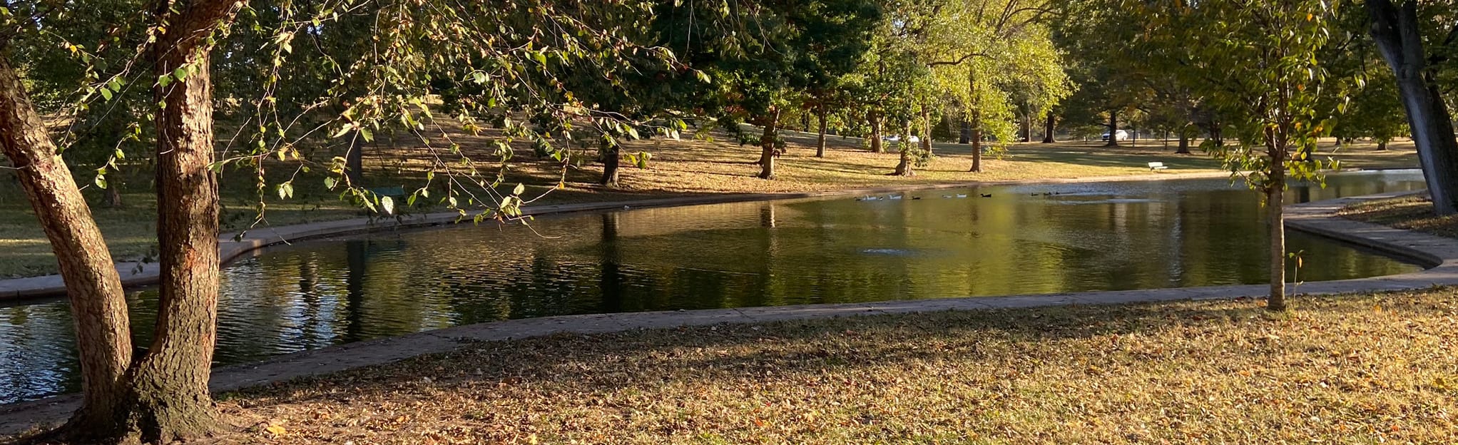 Willmore Park Loop, Missouri 158 Reviews, Map AllTrails