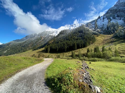 Das große Naturforscher-Abenteuer: Wildtiere