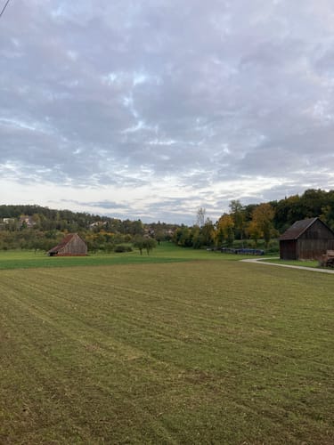 Um Grafenau (Doffingen)