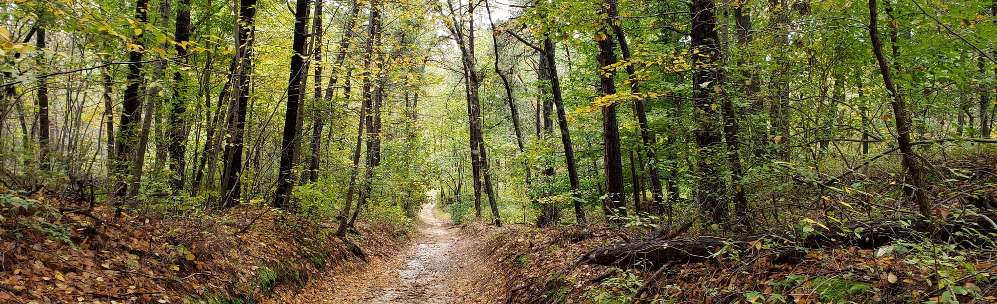 Snuffy Hollow Trail, New Jersey 52 Reviews, Map AllTrails