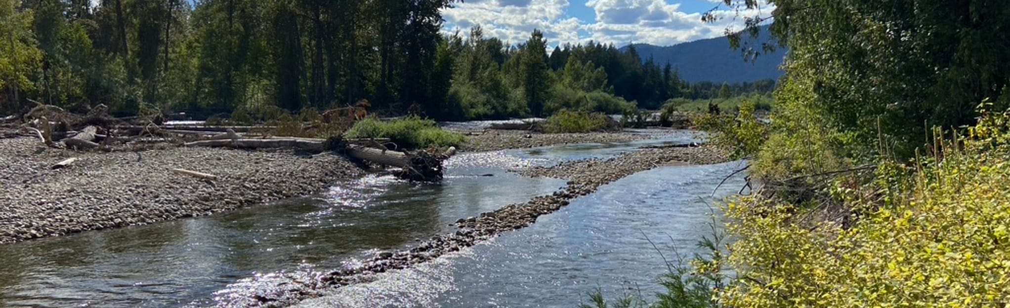 Roderick Haig-Brown Loop [CLOSED]: 122 Reviews, Map - British Columbia ...