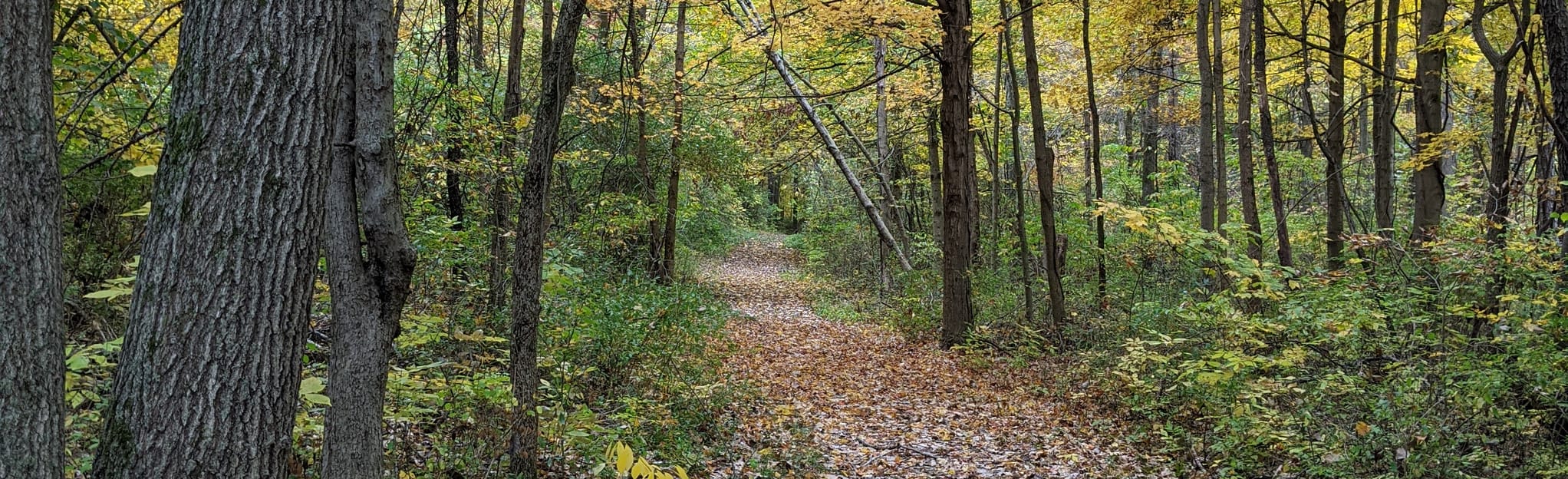 Norman Lake Loop, Indiana 54 Reviews, Map AllTrails