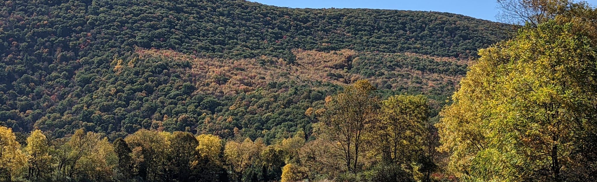 Jersey Shore to Pine Creek via Pine Creek Rail Trail 84 Reviews, Map