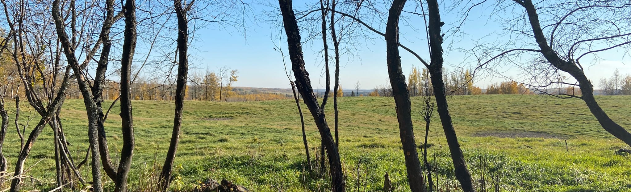 Tawatinaw Cross Country Ski Trails 10 Reviews, Map Alberta, Canada