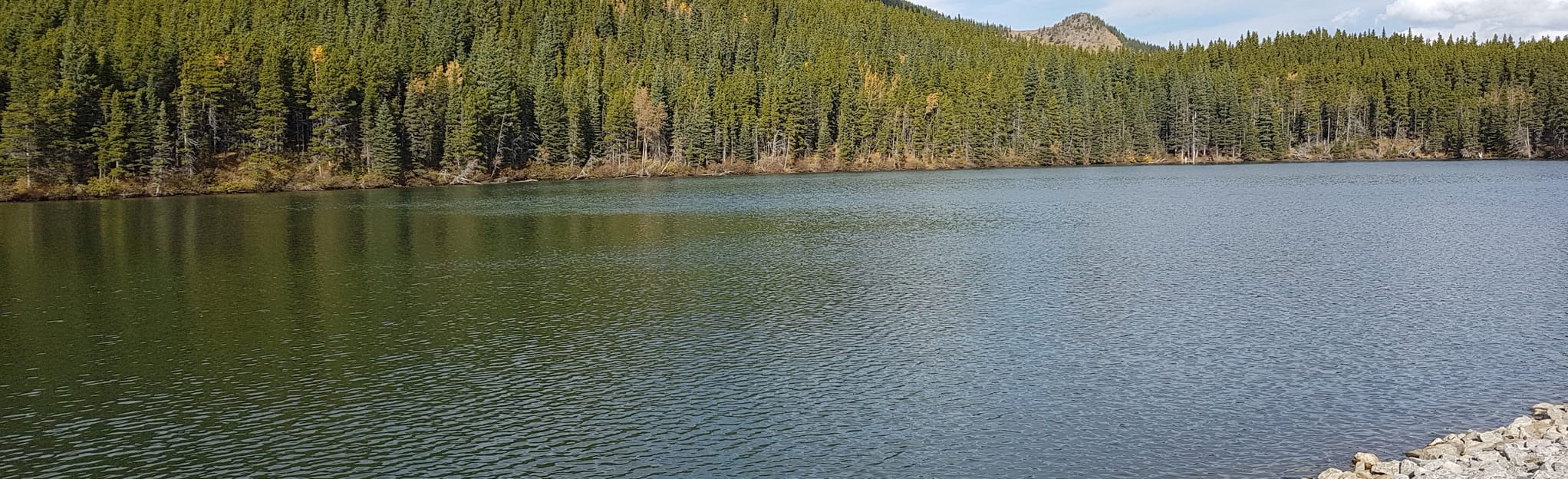 Bear Pond via Iron Creek Mountain Trail 60 Reviews, Map Alberta