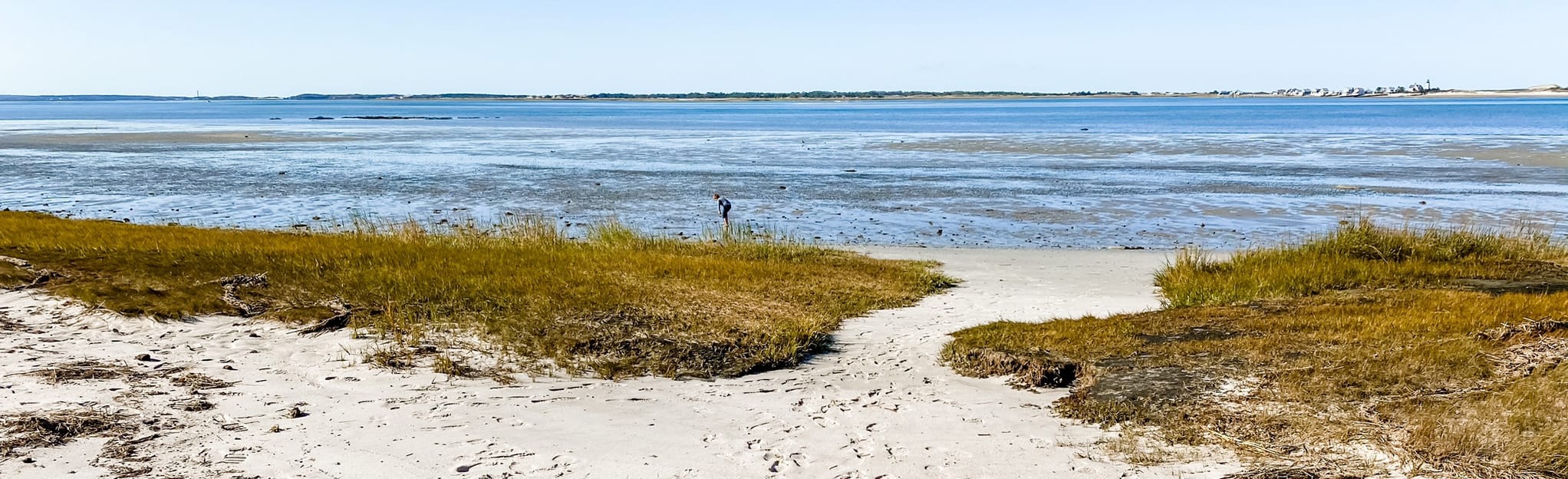 Barnstable Harbor and Great Marsh of West Barnstable Paddle Route 6