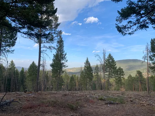 Best Hikes and Trails in Flying J Ranch Park | AllTrails