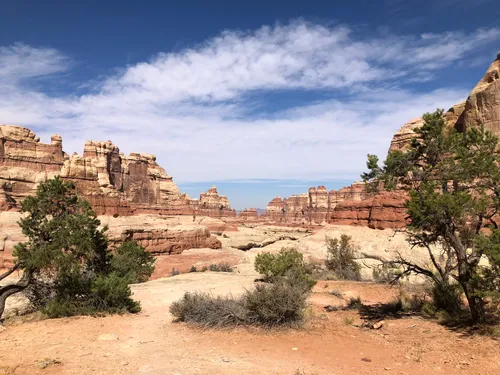 Alltrails canyonlands 2025