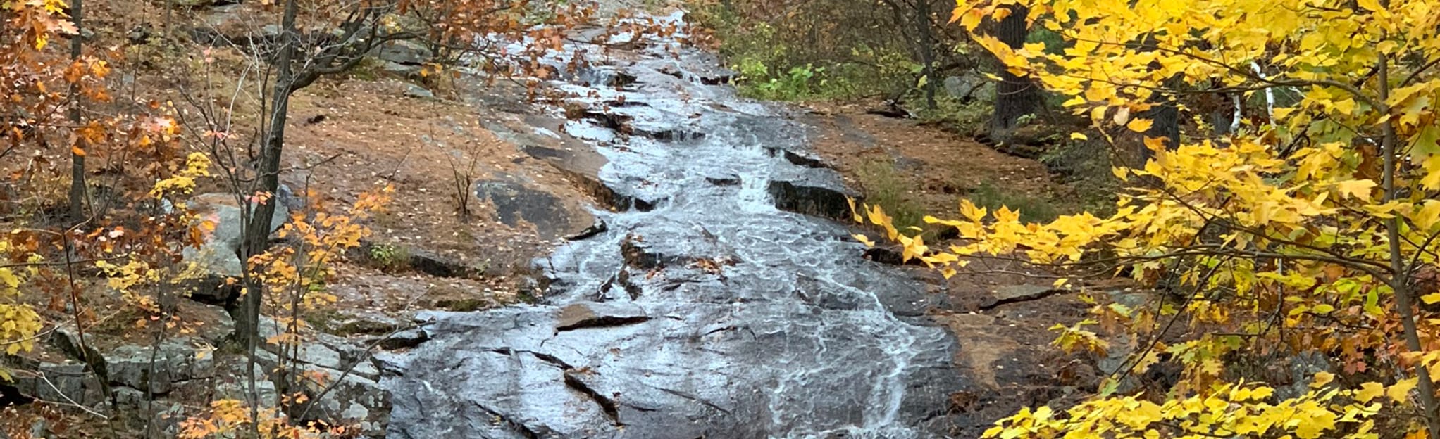Sentier des Chutes de Luskville Quebec, Canada AllTrails