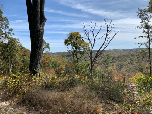 Best Dogs On Leash Trails in Scioto Trail State Park | AllTrails