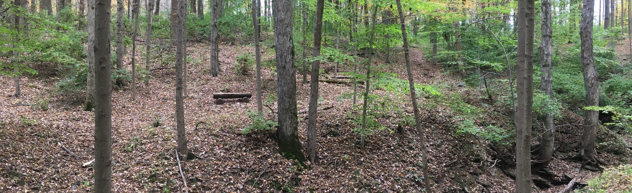 Pierce Township Nature Trail, Ohio 11 Reviews, Map AllTrails