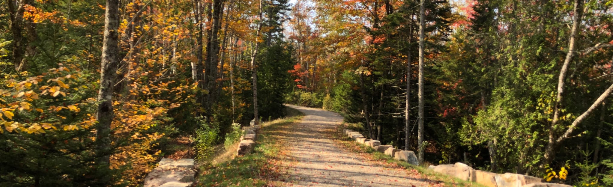 Birch Harbor Mountain Bike Path , Maine 53 Reviews, Map AllTrails