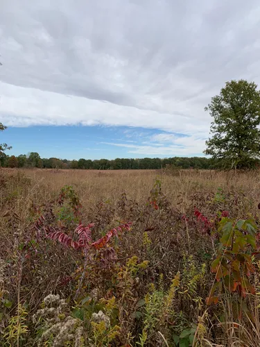 10 Best Hikes and Trails in Robert Allerton Park | AllTrails