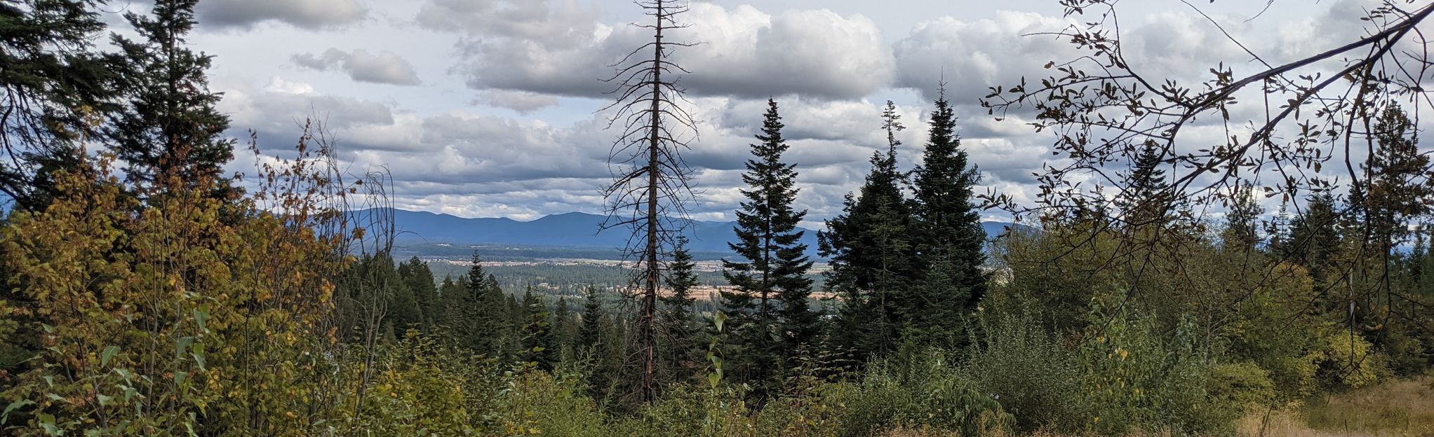 Lower Rathdrum Mountain, Idaho - 56 Reviews, Map | AllTrails