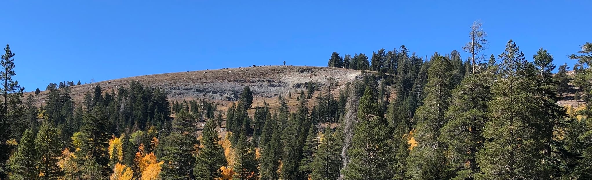 Red Lake Rabbit Ridge Loop Map, Guide California AllTrails