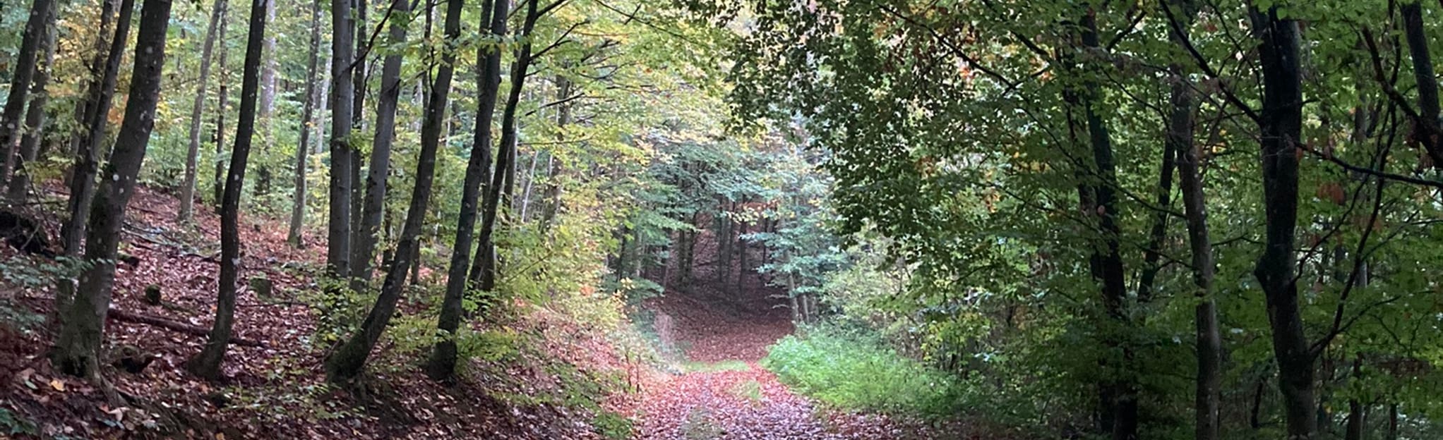 Loop from Clervaux to Urspelt: 15 foto's - Kanton Clervaux, Luxemburg ...