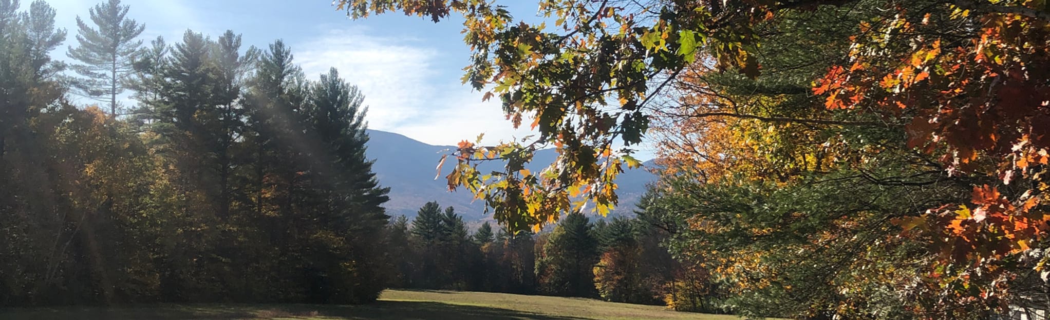 White Cairn to Stone House Trail Maine AllTrails