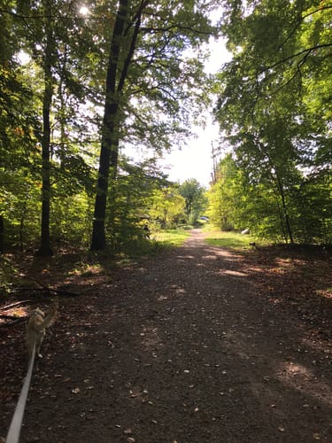 Hittfeld nach Seevetal