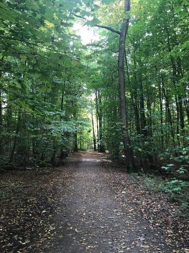 Rundgang im Höpen