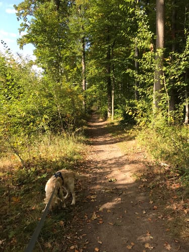 Rundgang im Höpen