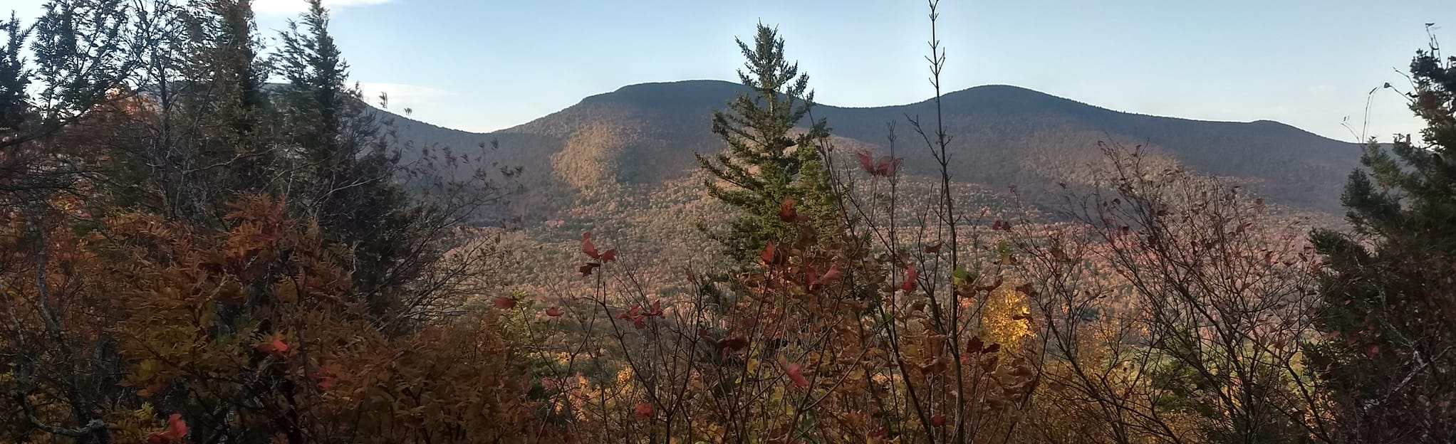 Acra Point via Black Dome Range Trail to Escarpment Trail 190 Reviews, Map New York AllTrails