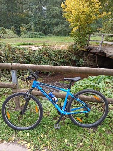 Radweg Wittlicher Senke