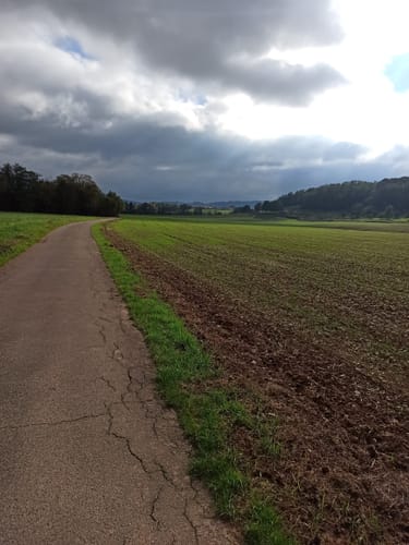 Radweg Wittlicher Senke