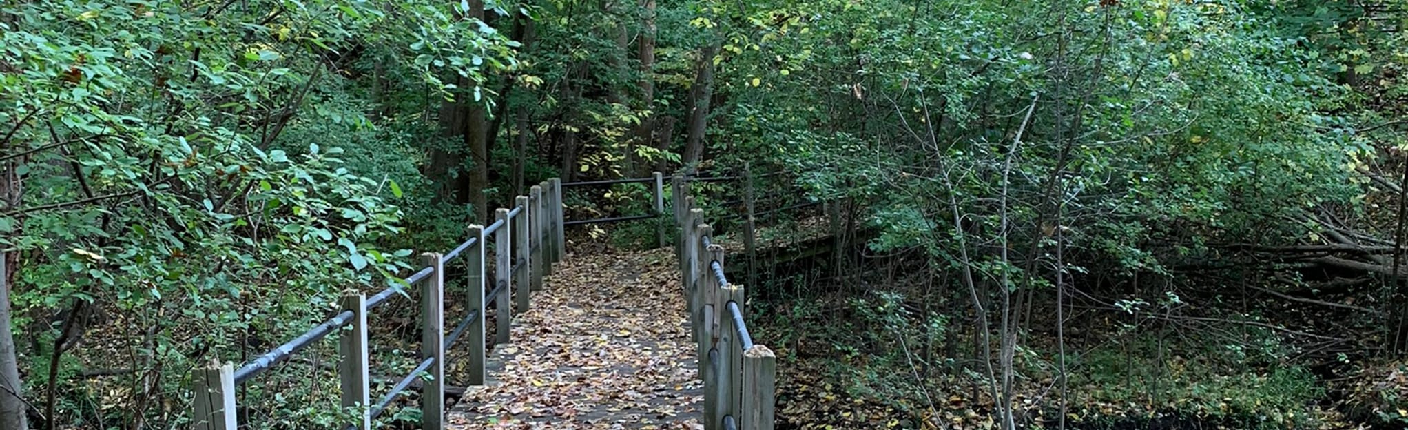 MacKayJaycee Loop, Michigan 26 Reviews, Map AllTrails